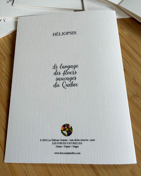 Carte de vœux Héliopsis - Les Forces Naturelles - verso