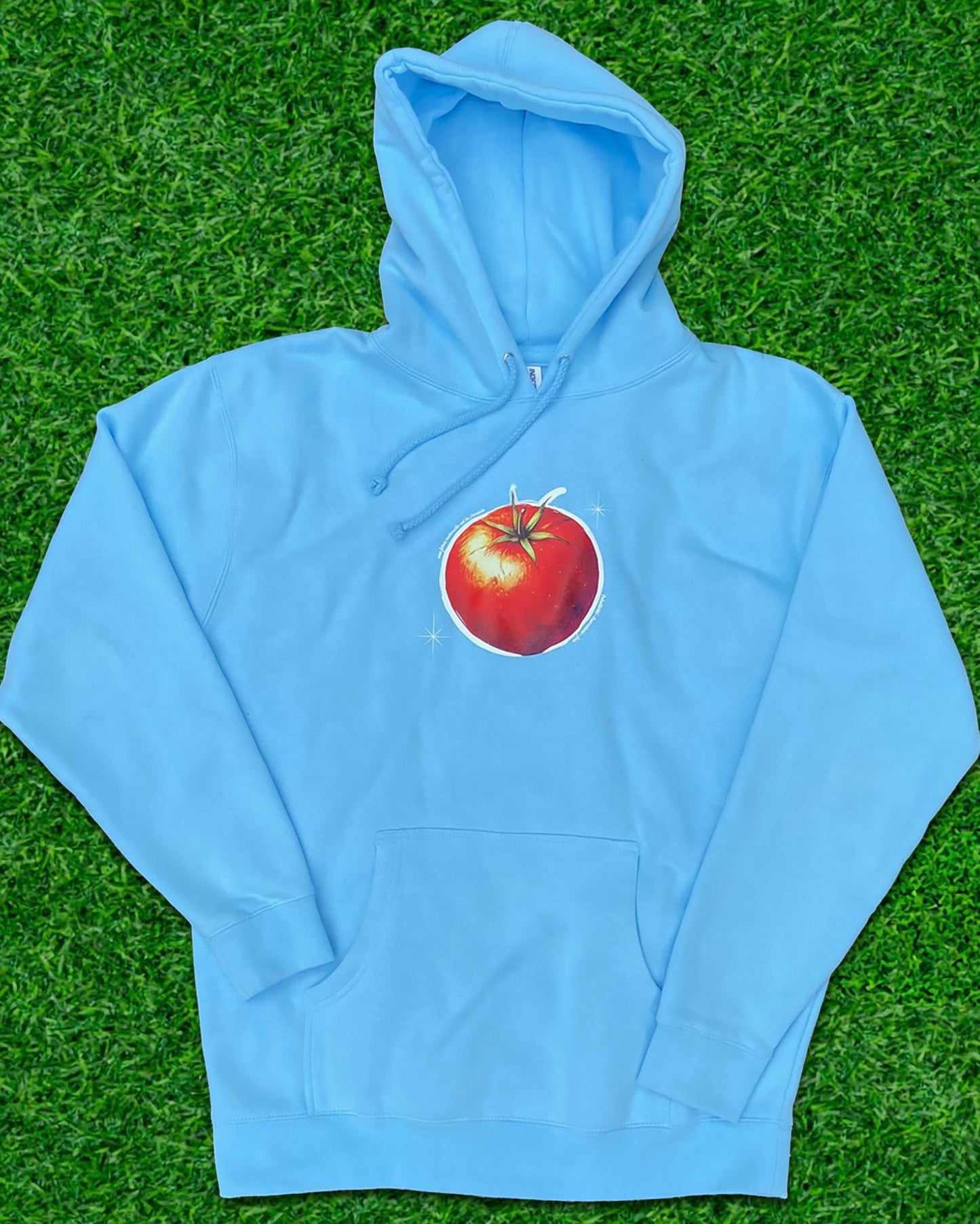 Hoodie de qualité supérieure « Les forces naturelles » — couleur beu ciel — étampe Tomate