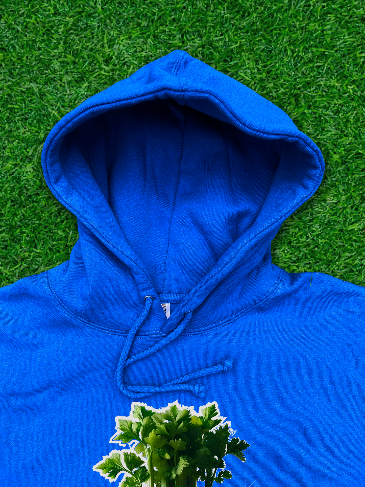 Hoodie de qualité supérieure « Les forces naturelles » — couleur beu — étampe Céleri — capuchon