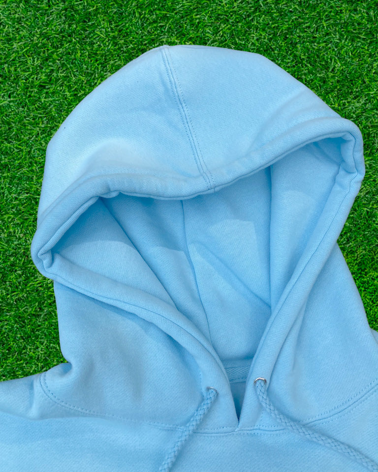 Hoodie de qualité supérieure « Les forces naturelles » — couleur bleu ciel — étampe Edamame - capuchon