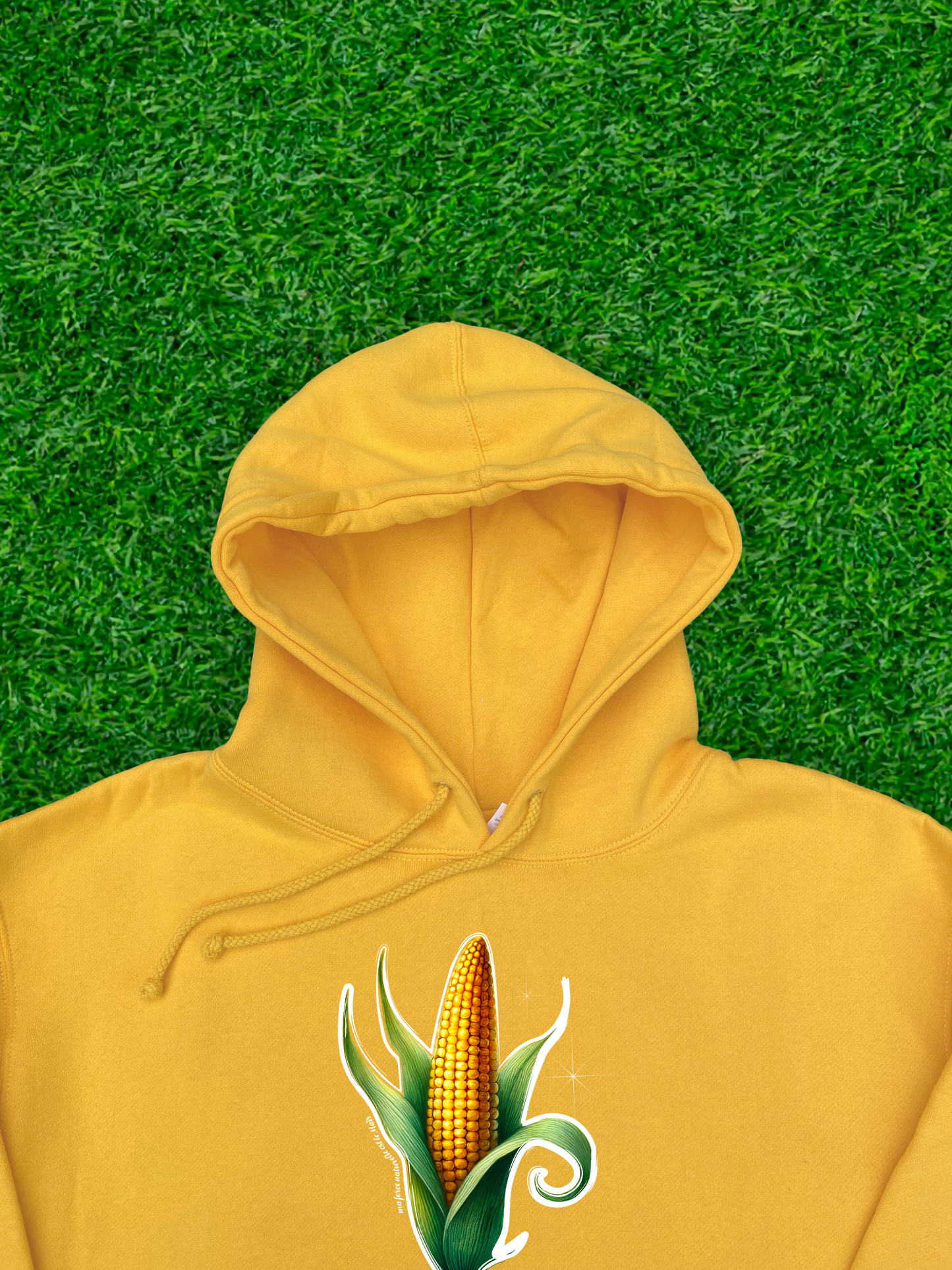 MAÏS 🌽