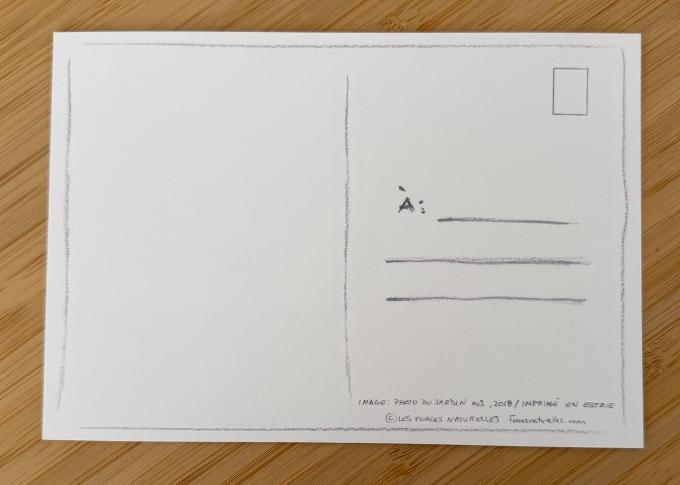 Carte postale Coquelicots