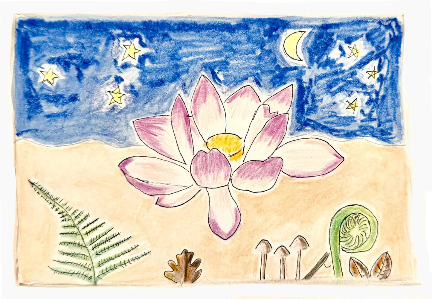 Carte postale Fleur de lotus Les Forces Naturelles