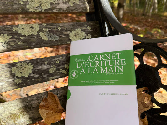 Écriture & Neurosciences : pourquoi le cerveau adore le journaling et l’écriture manuscrite