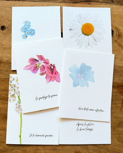 6 Cartes de vœux Le langage des fleurs sauvages du Québec - Ensemble Douceur