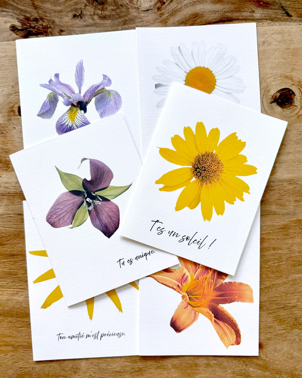 6 Cartes de voeux Le langage des fleurs sauvages du Québec - Ensemble Joie 