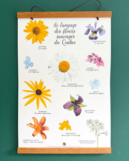 Affiche Le langage des fleurs sauvages du Québec Les Forces Naturelles avec cadre