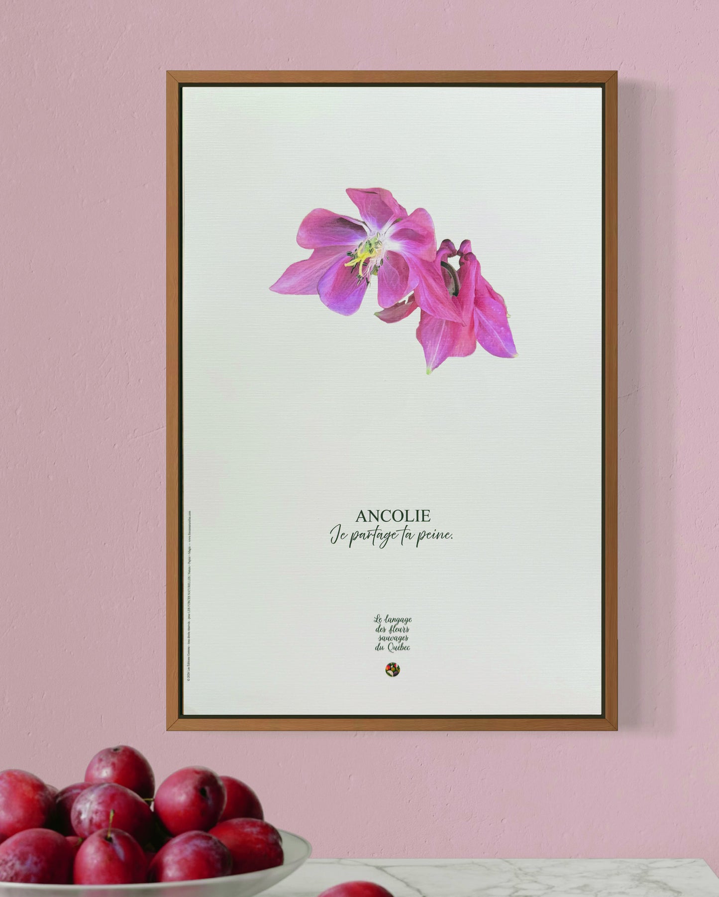 Affiche Ancolie Le langage des fleurs sauvages du Québec  - Les Forces Naturelles