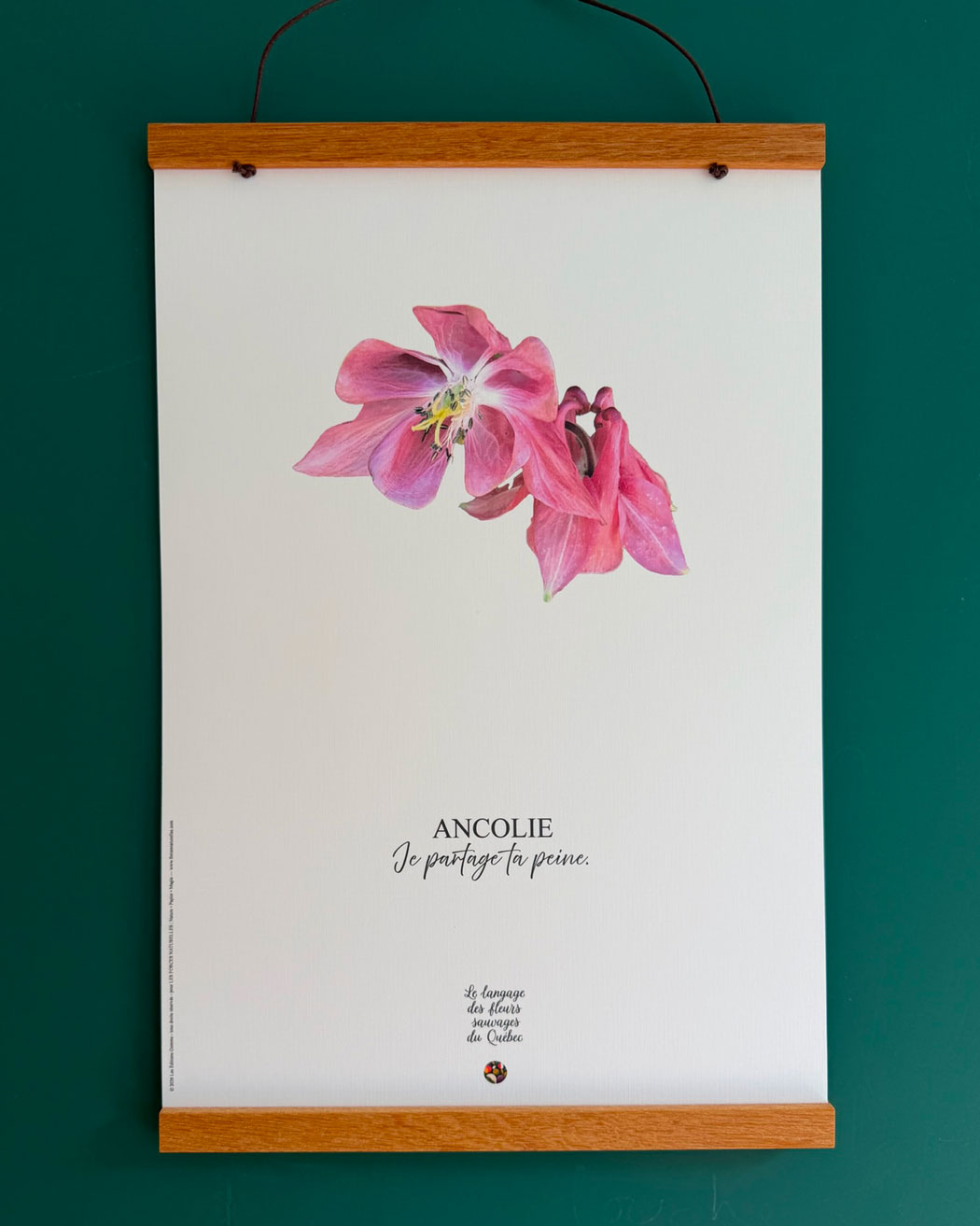 Affiche Ancolie Le langage des fleurs sauvages du Québec  - Les Forces Naturelles
