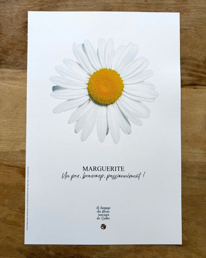 Affiche Marguerite - Les Forces Naturelles