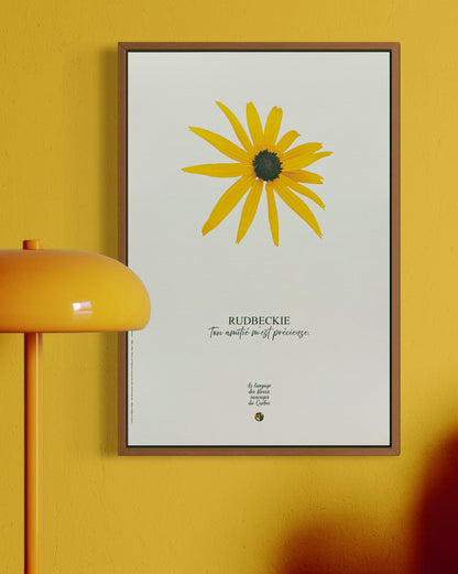 Affiche Rudbeckie Le langage des fleurs sauvages du Québec  - Les Forces Naturelles