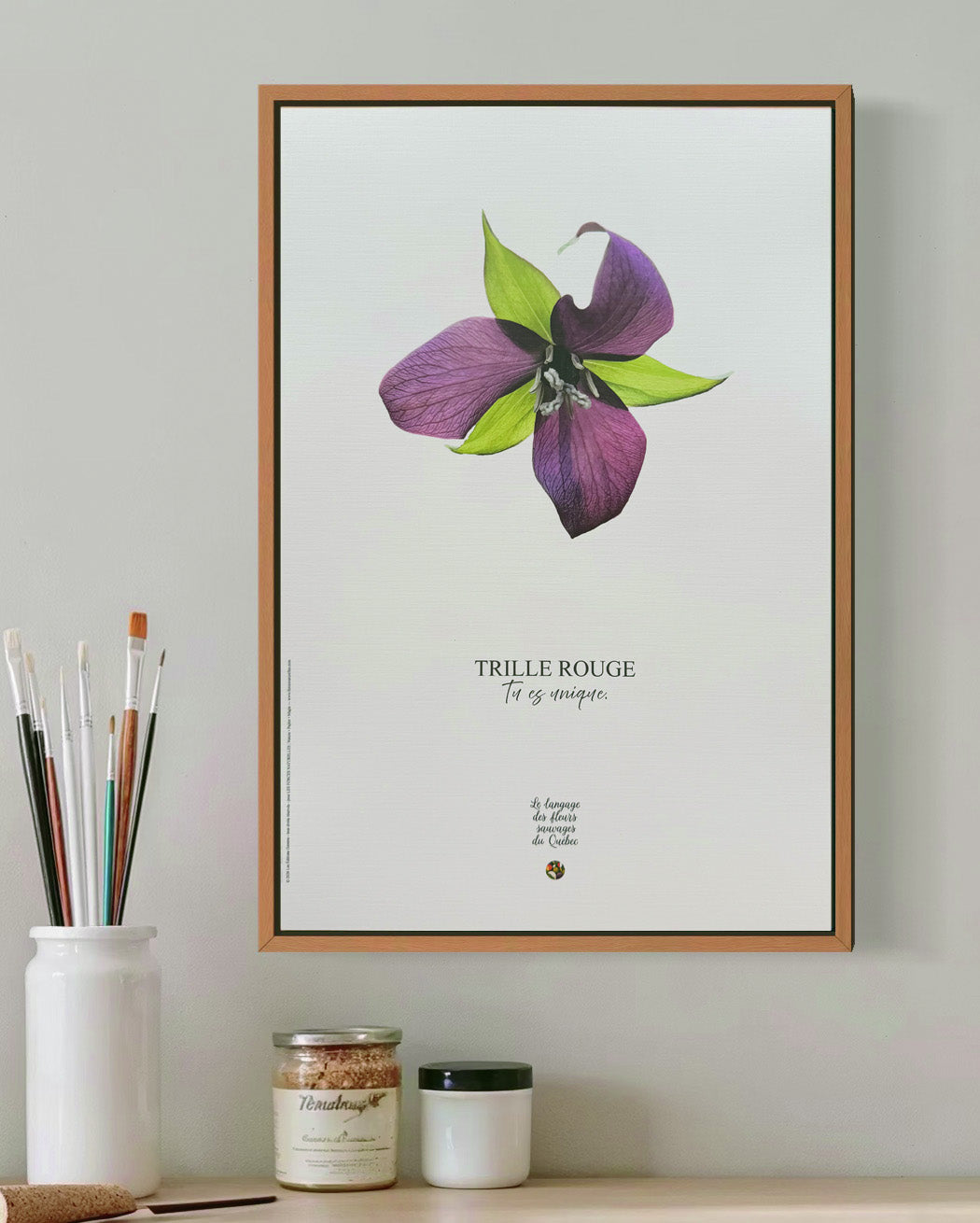 Affiche Trille Le langage des fleurs sauvages du Québec  - Les Forces Naturelles
