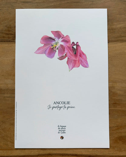 Affiche Ancolie - Les Forces Naturelles