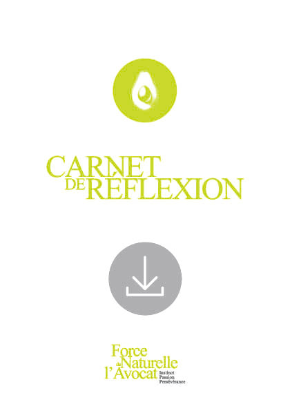 Carnet de réflexion • À télécharger Les Forces Naturelles