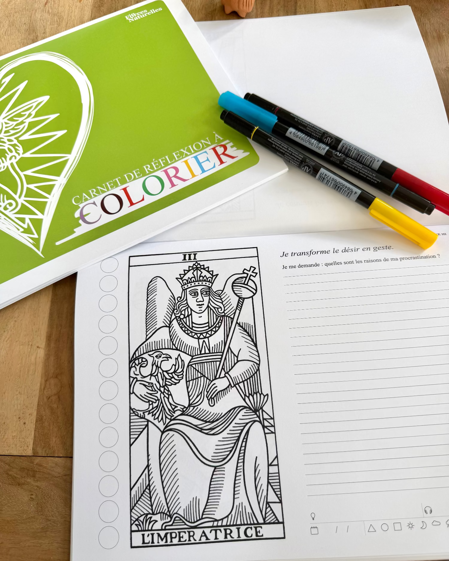 Carnet de réflexion à colorier Les Forces Naturelles