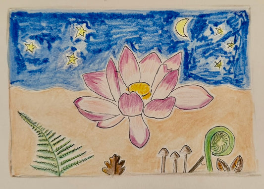 Carte postale Fleur de lotus
