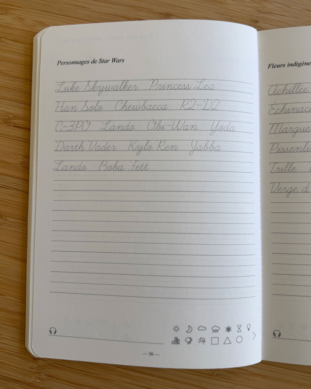 Carnet d’écriture à la main Les Forces Naturelles  - Personnages de Star Wars
