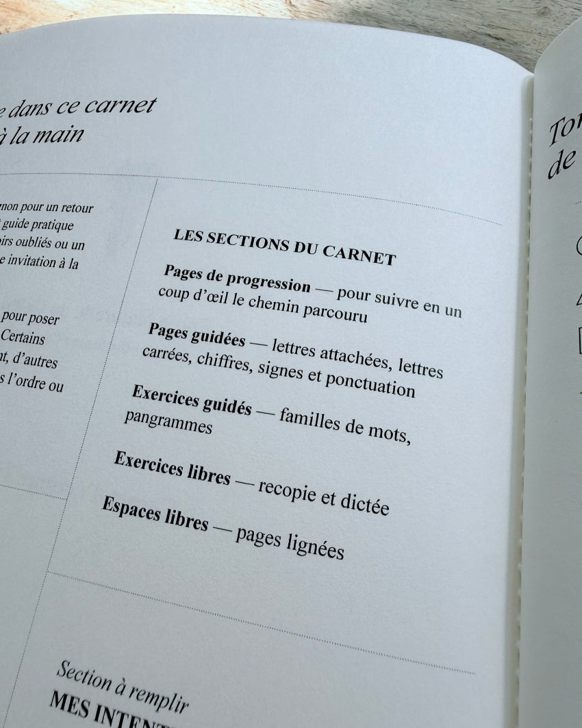 Carnet d’écriture à la main — Force naturelle du céleri, journaling guidé,  sections du carnet