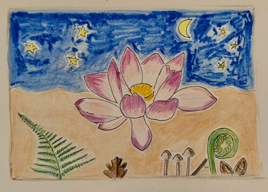 Carte postale Fleur de lotus Les Forces Naturelles