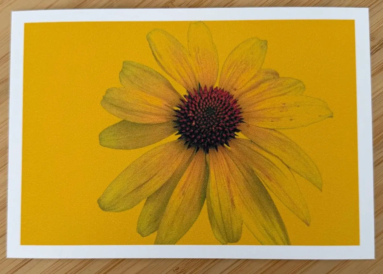 Carte postale - Haïku postal. Échinacée jaune sur fond jaune 
