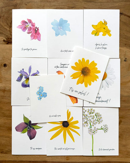 11 cartes de vœux - Collection complète