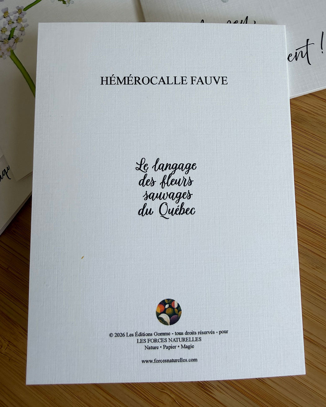Carte de vœux Hémerocalle  fauve- Les Forces Naturelles - verso