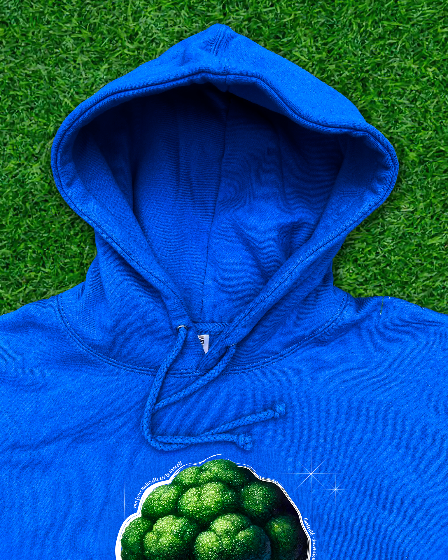 Hoodie de qualité supérieure « Les forces naturelles » — couleur beu — étampe Brocoli— capuchon