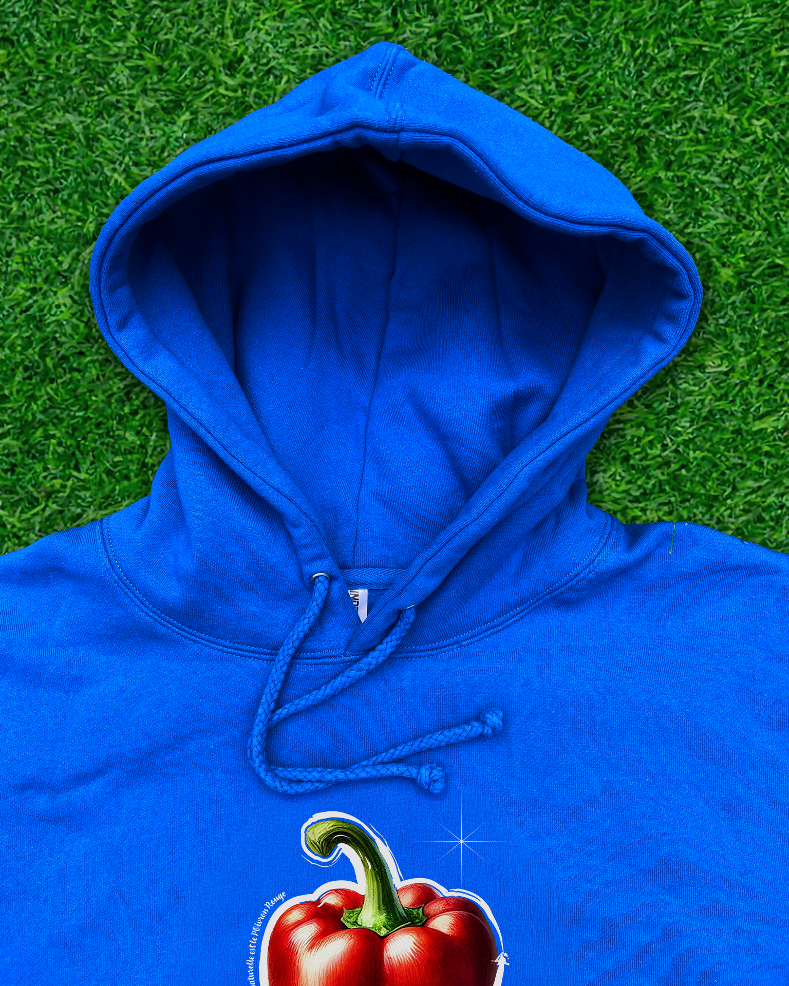 Hoodie de qualité supérieure « Les forces naturelles » — couleur beu — étampe Poivron rouge — capuchon