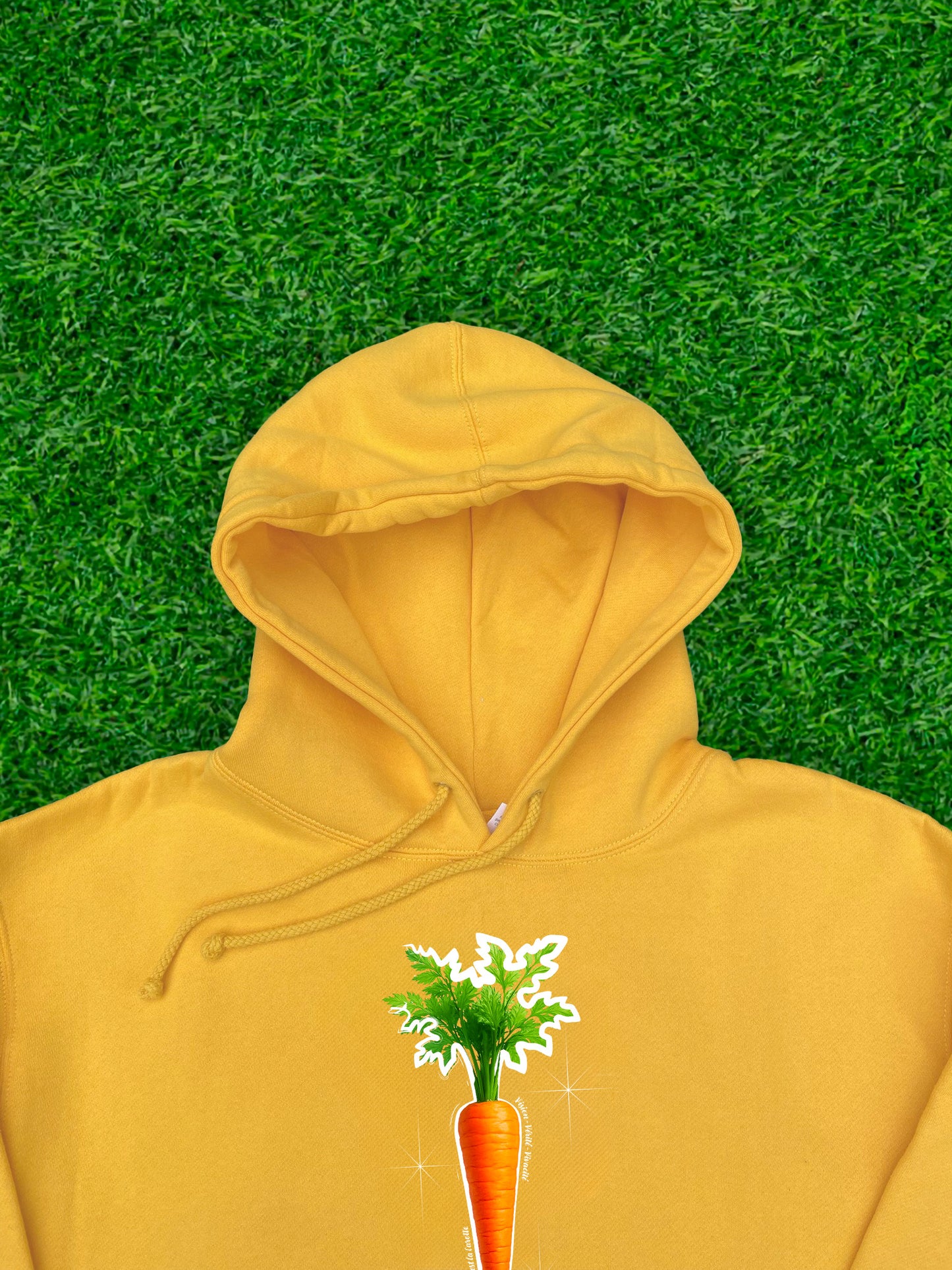 CAROTTE 🥕
