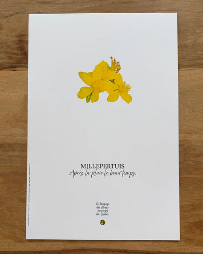 Affiche MIllepertuis - Les Forces Naturelles