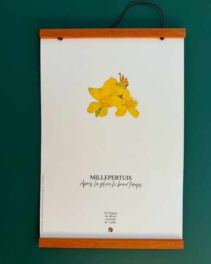 Affiche MIllepertuis - Les Forces Naturelles - cadre