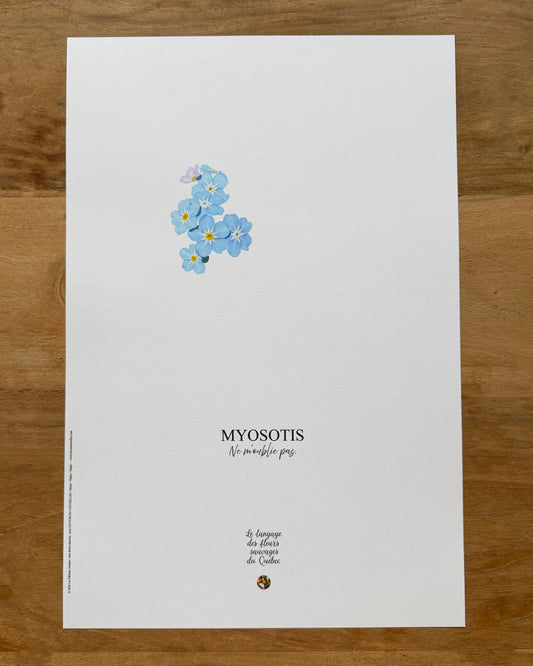 Affiche Myosotis - Les Forces Naturelles
