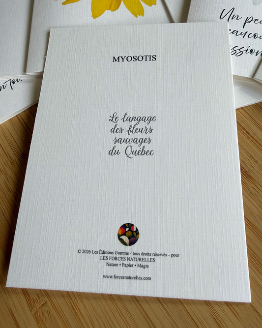 Carte de vœux Myosotis - Les Forces Naturelles