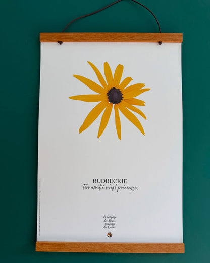 Affiche Rudbeckie - Les Forces Naturelles - cadre 