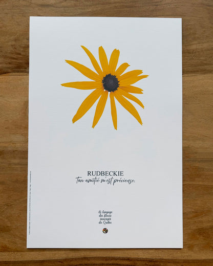 Affiche Rudbeckie - Les Forces Naturelles
