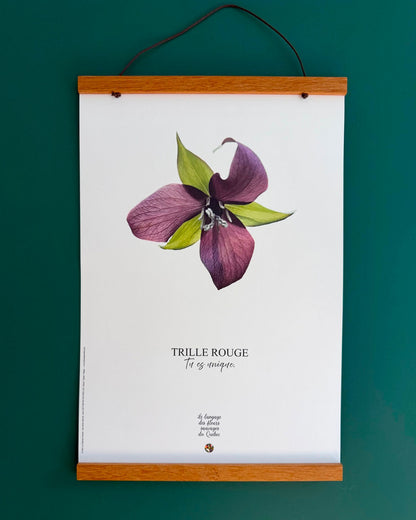 Affiche Trille rouge - Les Forces Naturelles - cadre