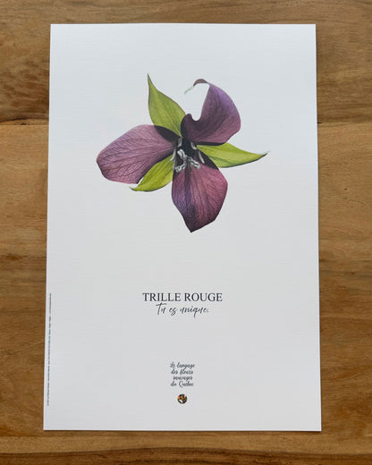 Affiche Trille rouge - Les Forces Naturelles