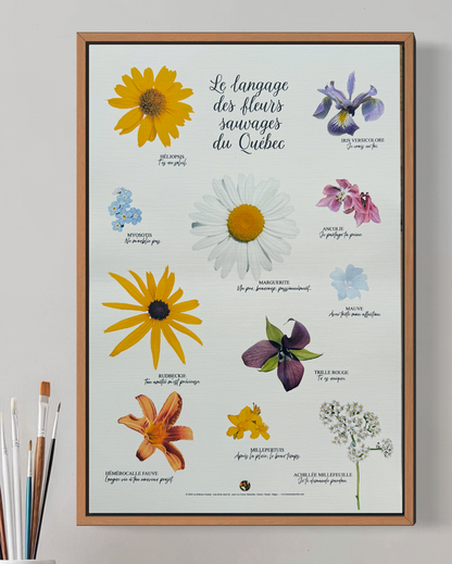 Affiche Le langage des fleurs sauvages du Québec