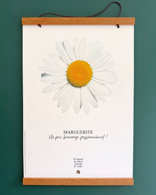 Affiche Marguerite - Les Forces Naturelles - avec cadre