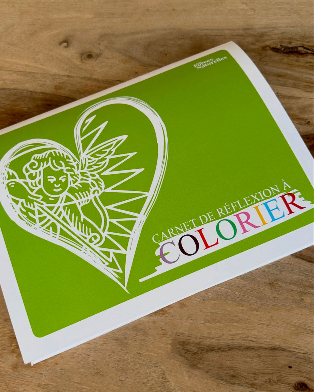 Page couverture du Carnet de réflexion à colorier Les Forces Naturelles