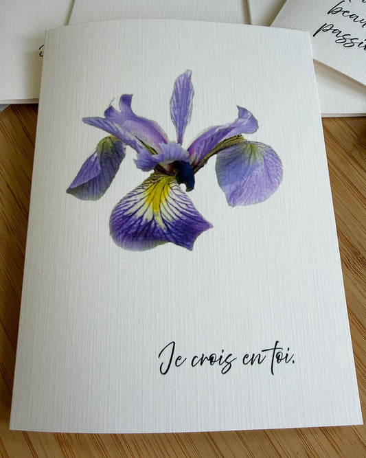 Carte de vœux Iris versicolore - Les Forces Naturelles