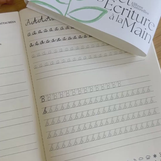 vidéo Carnet d'écriture à la main