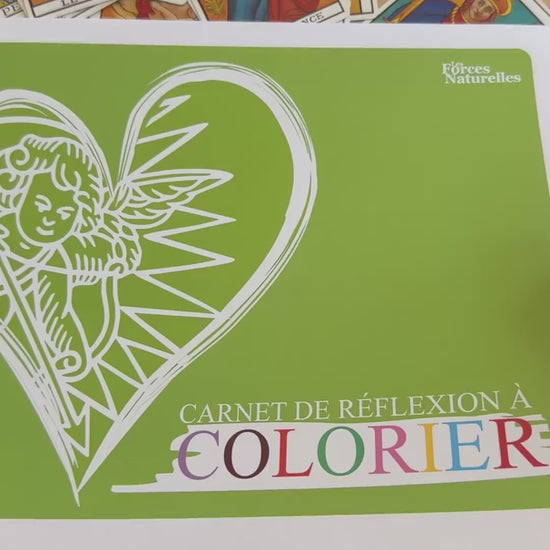 Vidéo du Carnet de réflexion à colorier Les Forces Naturelles