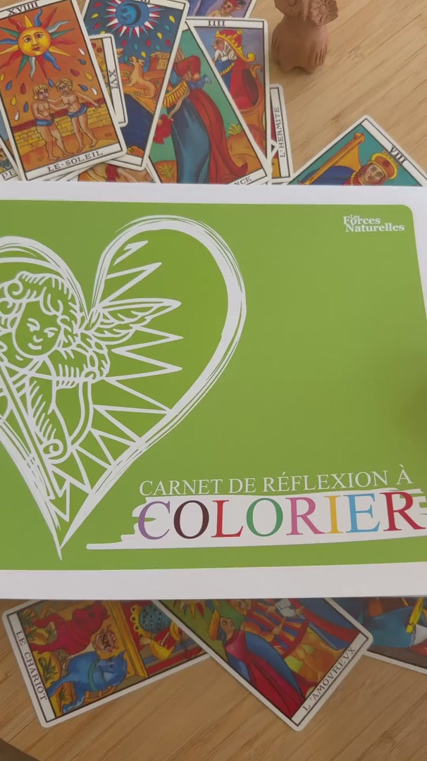 Vidéo du Carnet de réflexion à colorier Les Forces Naturelles