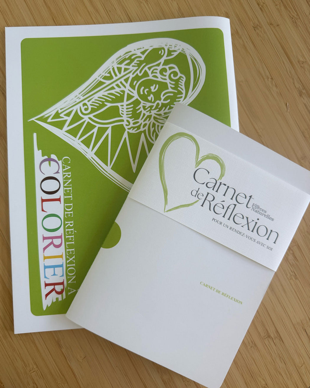 Promotion Duo Carnet de réflexion et Carnet de réflexion à colorier Les Forces Naturelles